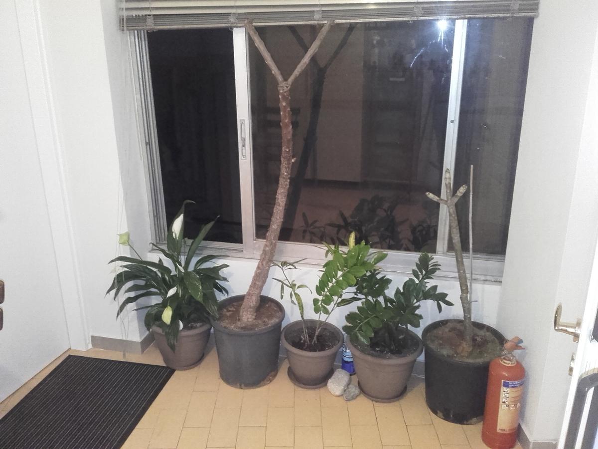 Jennys Apartment Preveza Exterior photo